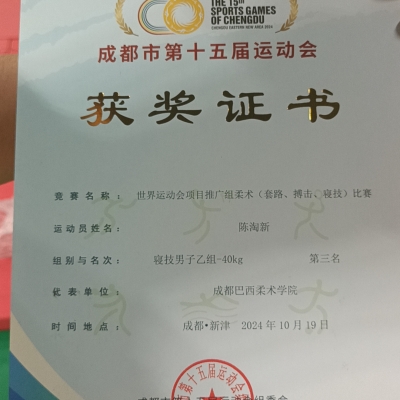 陈淘新(K)陈小马-成都市第十五届运动会